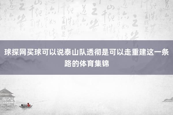 球探网买球可以说泰山队透彻是可以走重建这一条路的体育集锦