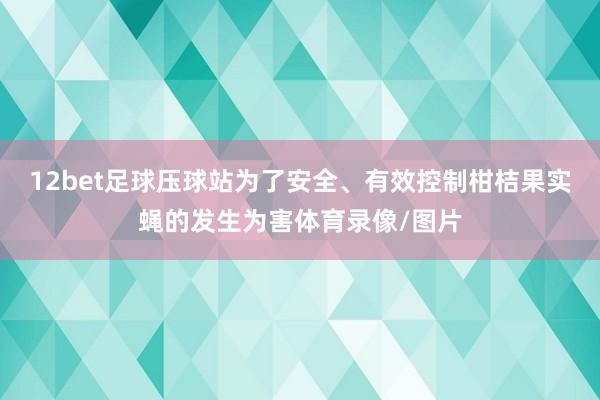 12bet足球压球站为了安全、有效控制柑桔果实蝇的发生为害体育录像/图片