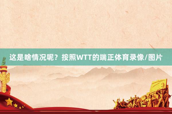 这是啥情况呢？按照WTT的端正体育录像/图片