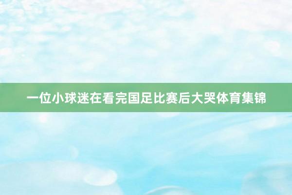 一位小球迷在看完国足比赛后大哭体育集锦