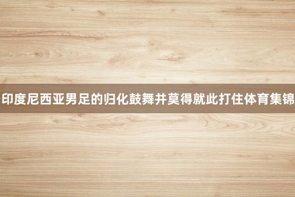 印度尼西亚男足的归化鼓舞并莫得就此打住体育集锦